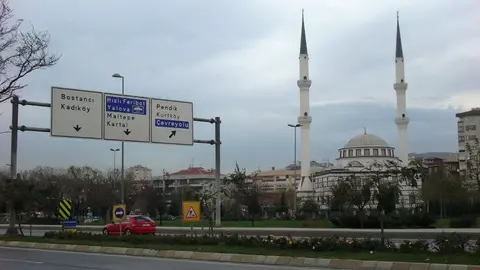 Cami